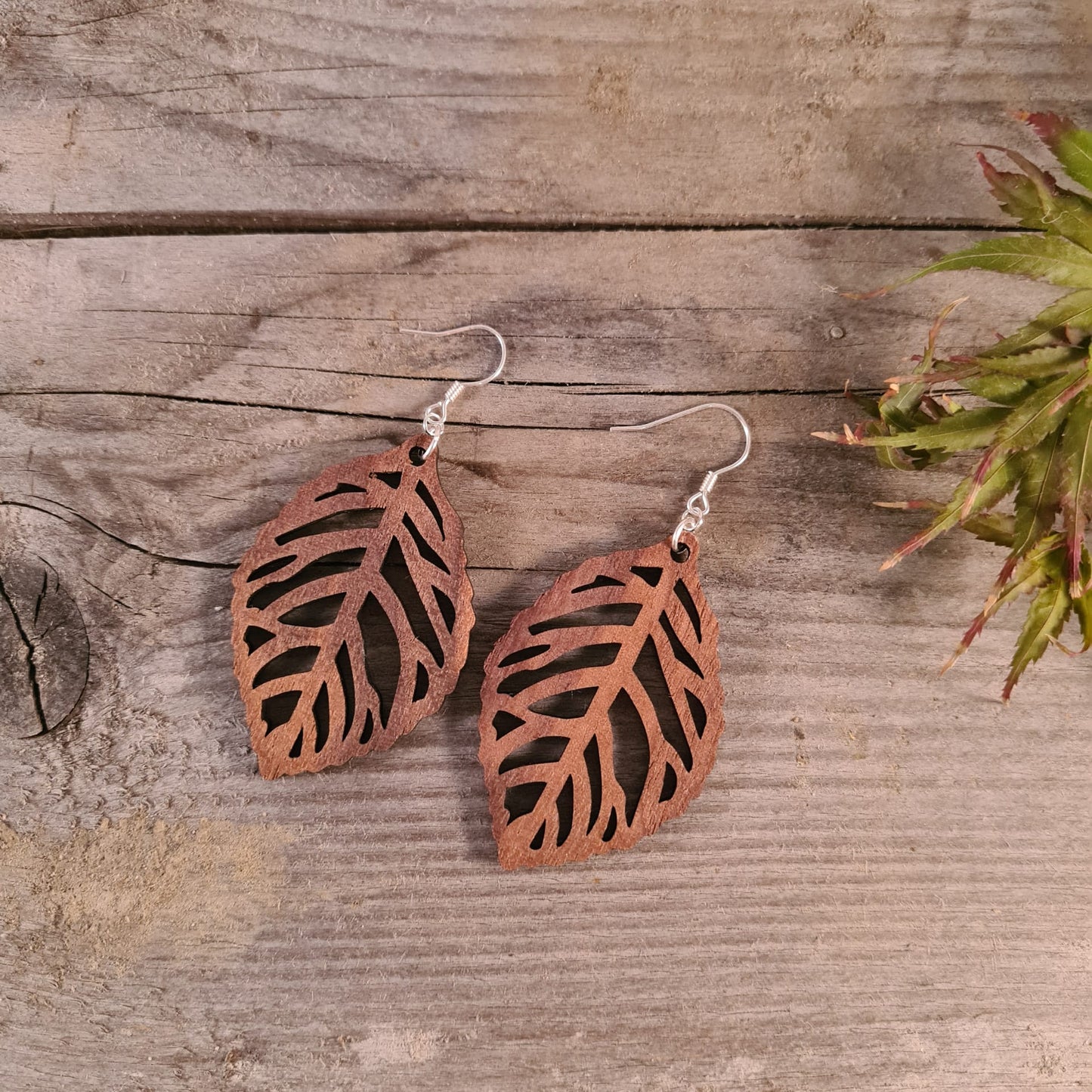 Houten blaadjes met nerven