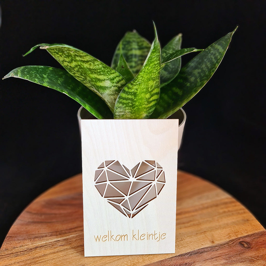 Houten wenskaart "Welkom kleintje"